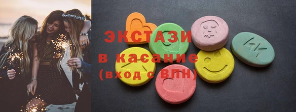 стаф Ельня