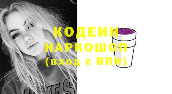 МДПВ Елизово