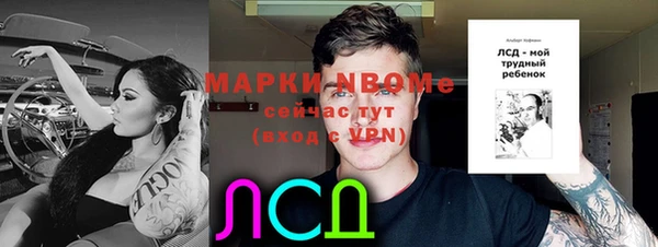 стаф Ельня
