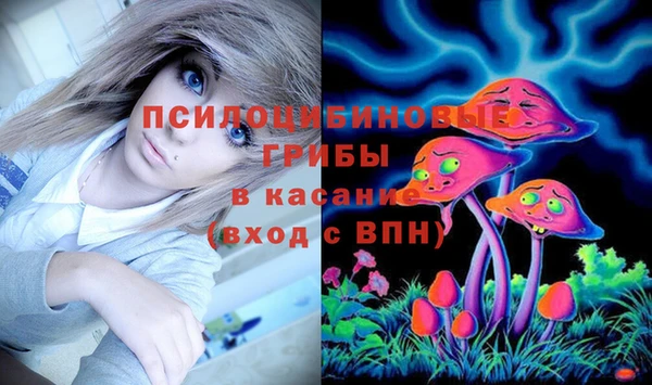 хмурый Елабуга