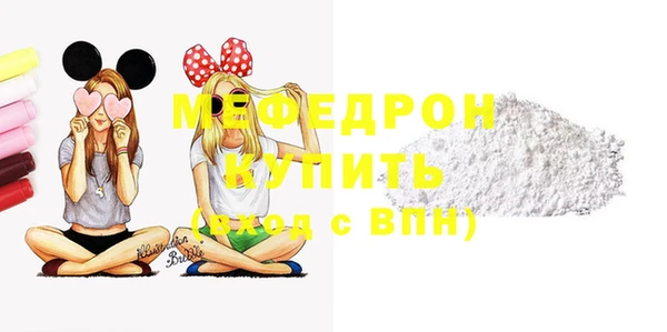 стаф Ельня