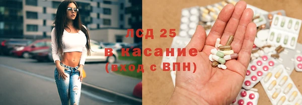 стаф Ельня
