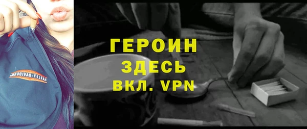 стаф Ельня