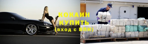 стаф Ельня