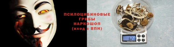 МДПВ Елизово