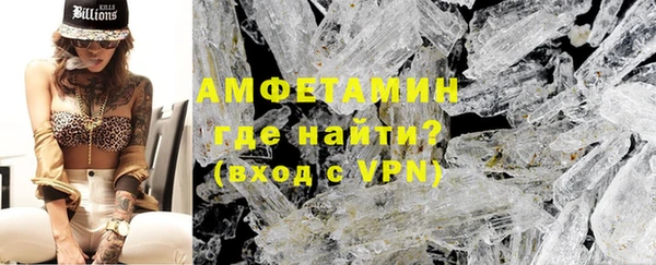 стаф Ельня