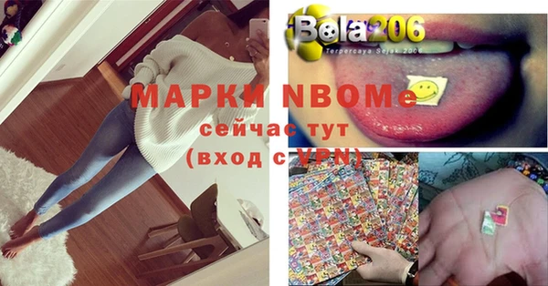 стаф Ельня