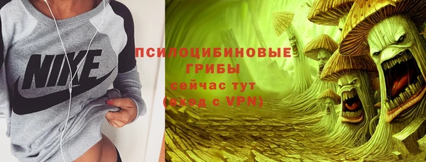 стаф Ельня