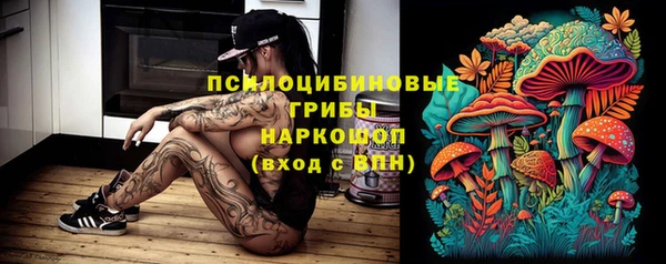 хмурый Елабуга