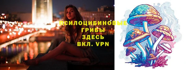 стаф Ельня