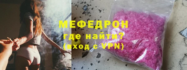 стаф Ельня