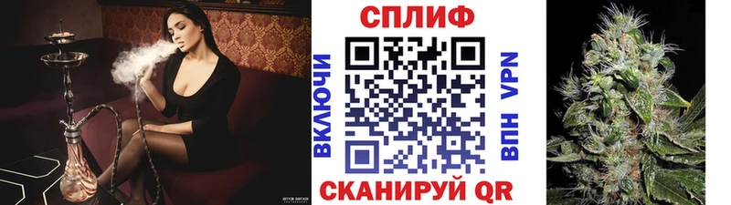 Шишки марихуана марихуана Пестово